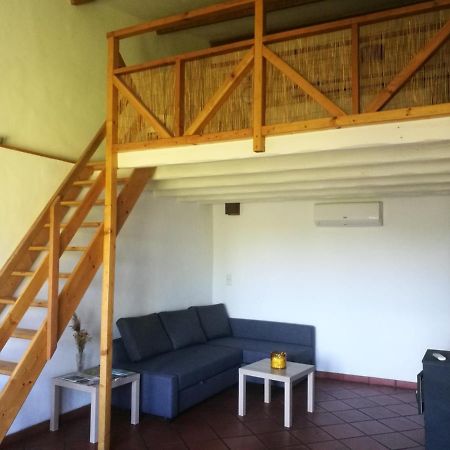 Charmant Mas tout équipé en pleine nature catalane Cases-de-Pene Exterior foto
