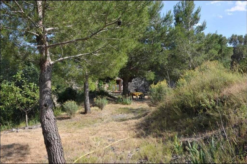 Charmant Mas tout équipé en pleine nature catalane Cases-de-Pene Exterior foto