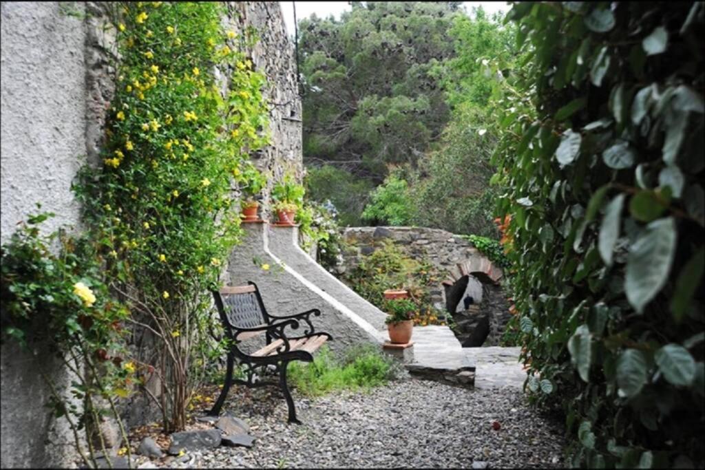 Charmant Mas tout équipé en pleine nature catalane Cases-de-Pene Exterior foto